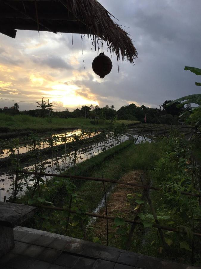 Cat Cow Yoga Villa Canggu  Luaran gambar